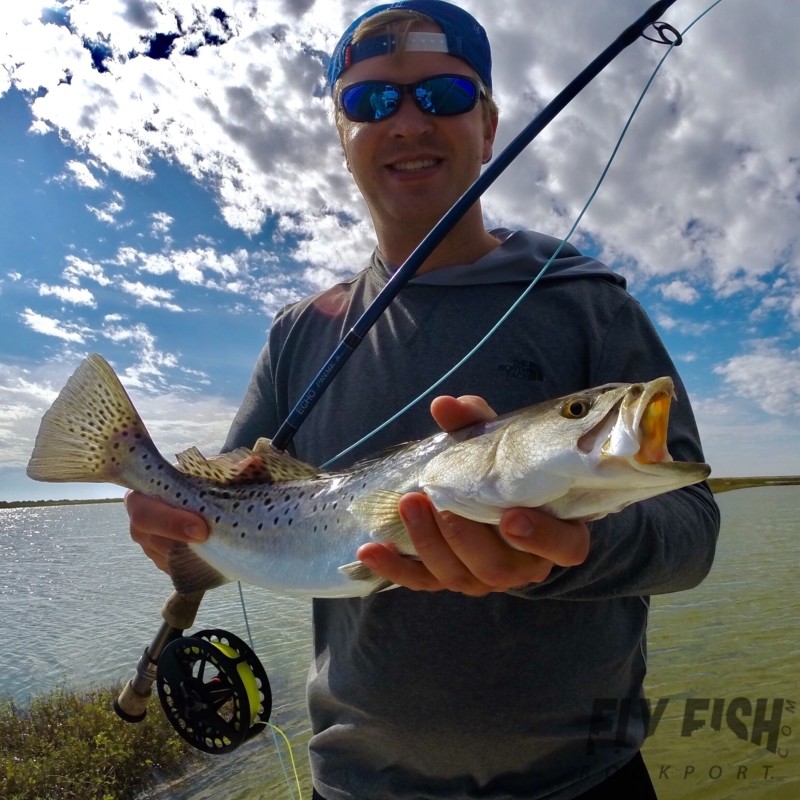 Speckled Trout on the Fly in Seadrift, TX
