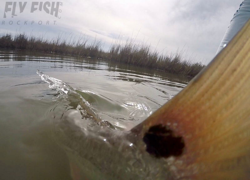 Redfish on the Fly in Rockport, Texas