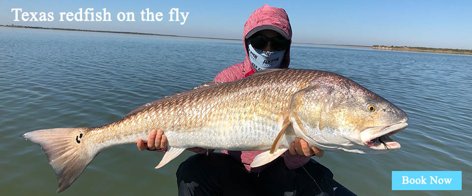 rockport fly fishing guide service fly fish rockport