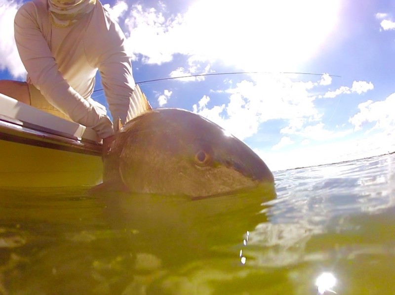 Fly Fishing for Redfish in Texas