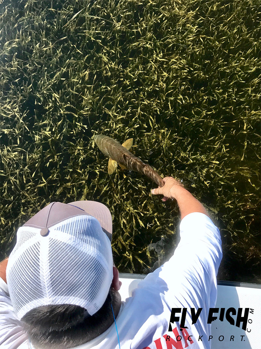 Texas Fly Fishing for Redfish