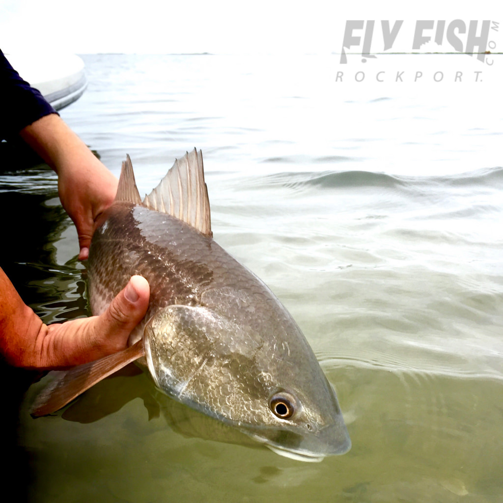 Fly Fishing the Texas Coast