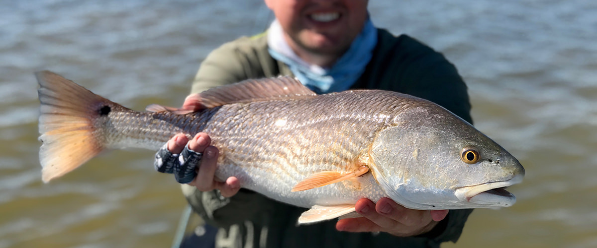 Fly Fishing in Goose Island Fly Fish Rockport