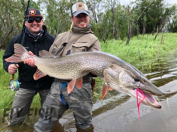 Trophy Pike in Alaska