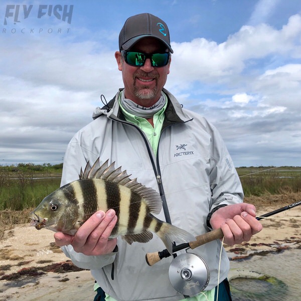 Fly fishing for sheepshead