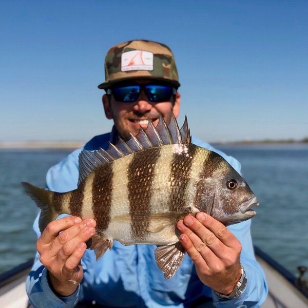 Sheepshead on the Fly Sheepshead on the Fly