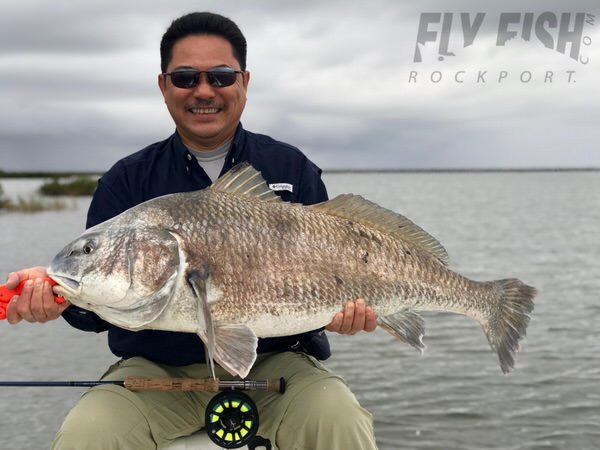 Texas Black Drum on Fly