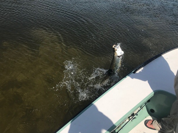 Texas Tarpon on the Fly