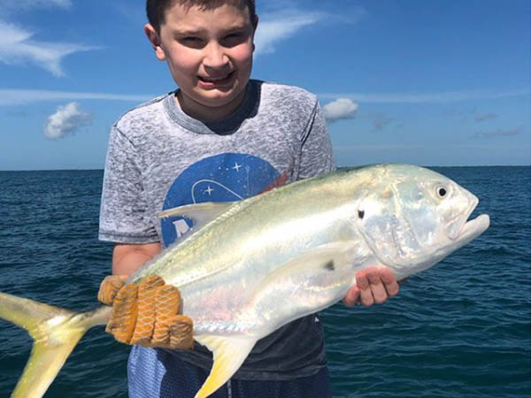 jack crevalle jack crevalle