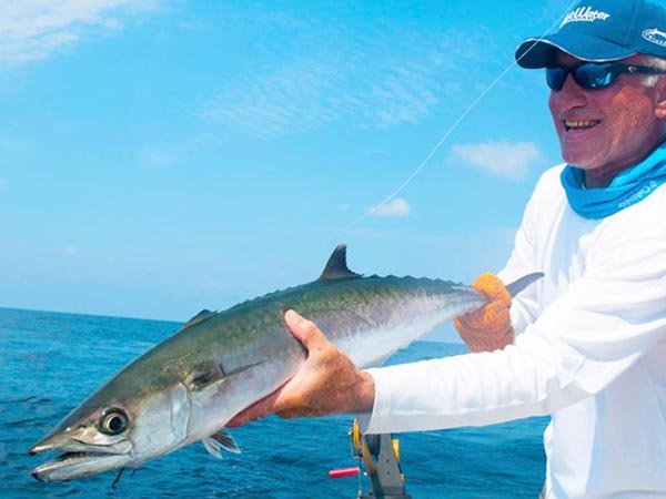 king mackerel king mackerel