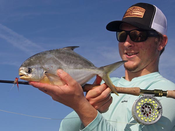 pompano pompano