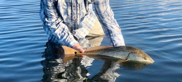 Fall Fly Fishing in Rockport Texas