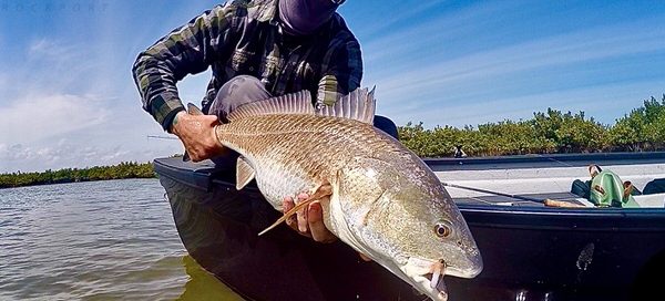 March Fishing for Redfish
