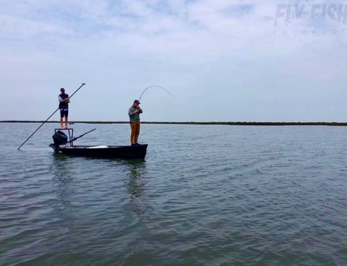 Rockport Texas Coronavirus Update March 31st