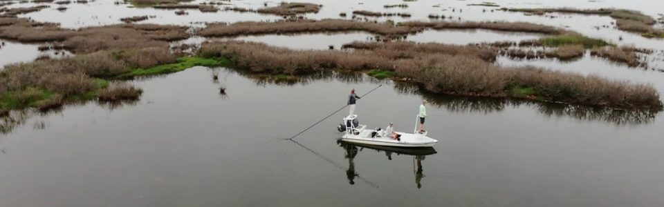 Essential Gear for Saltwater Fly Fishing