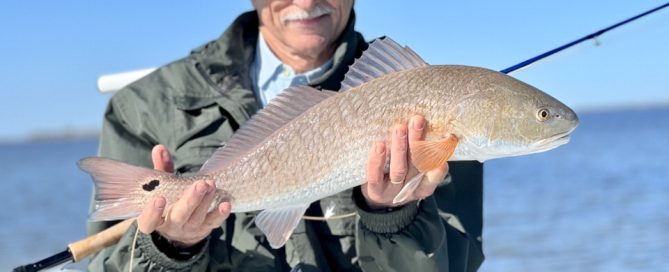 Winter Redfish Fly Fishing Texas