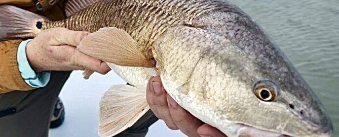 Redfishing in Spring on Texas Coast