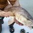 Redfishing in Spring on Texas Coast