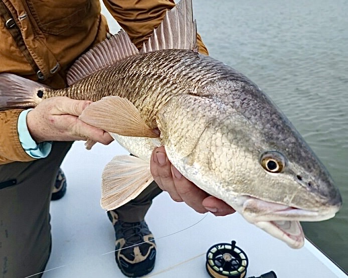 Redfishing in Spring on Texas Coast