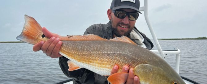 Redfish Schools Rockport Texas