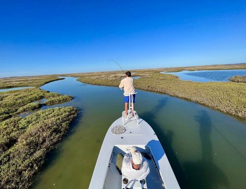 Rockport Fly Fishing Report – Oct 29th