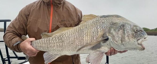 November Fishing in Rockport Texas